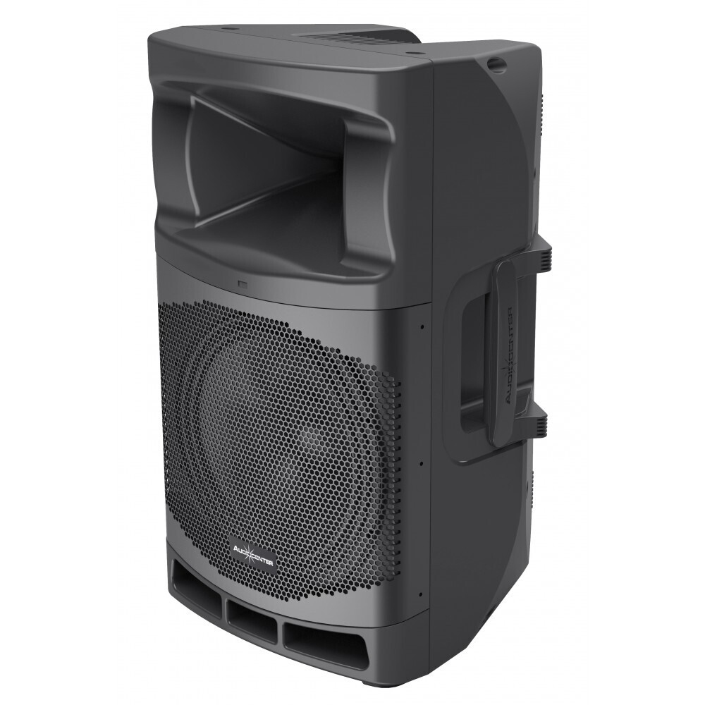 Audiocenter MA12 активная акустическая система в Печорах