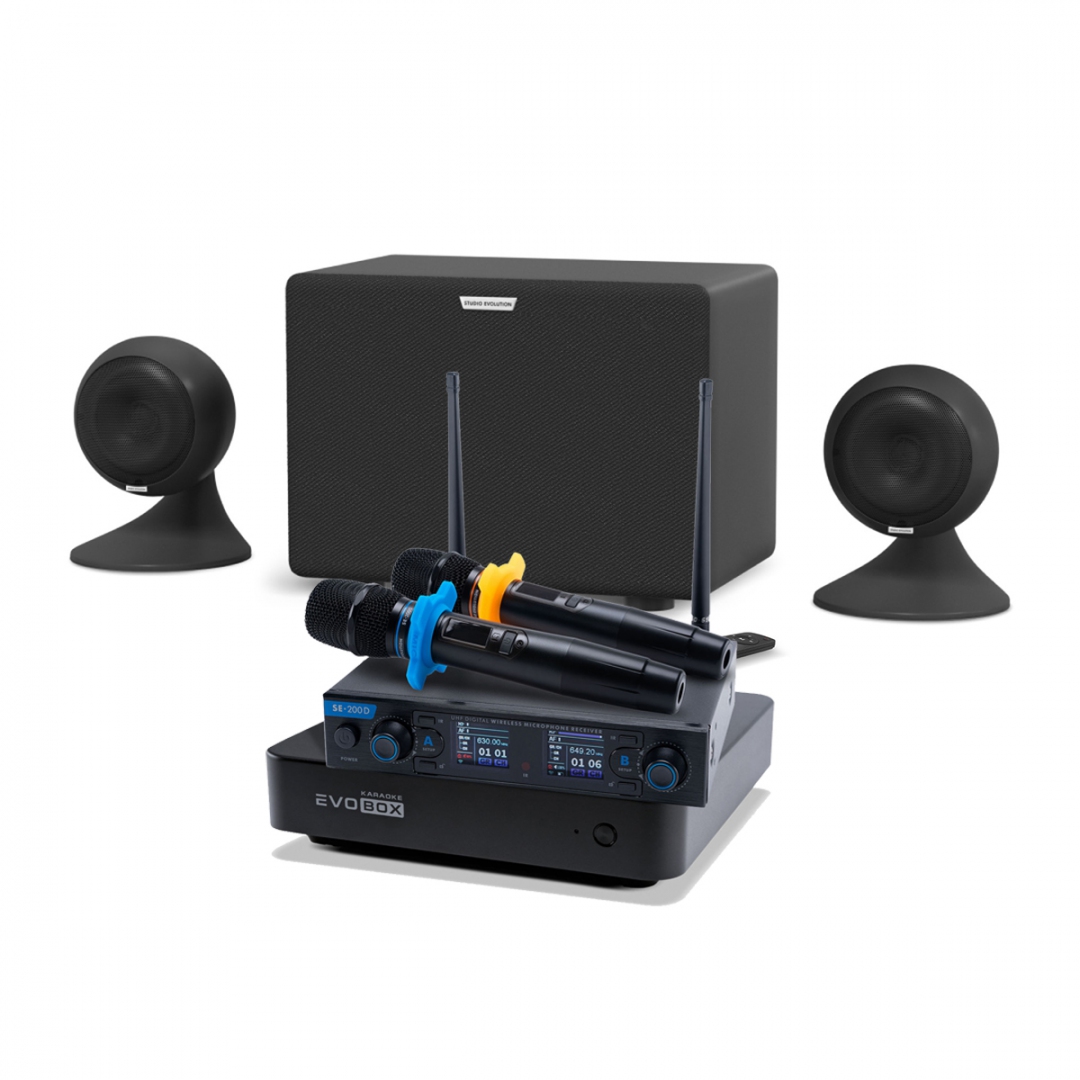 караоке-комплект EVOBOX + EvoSound Sphere 2.1 в Печорах