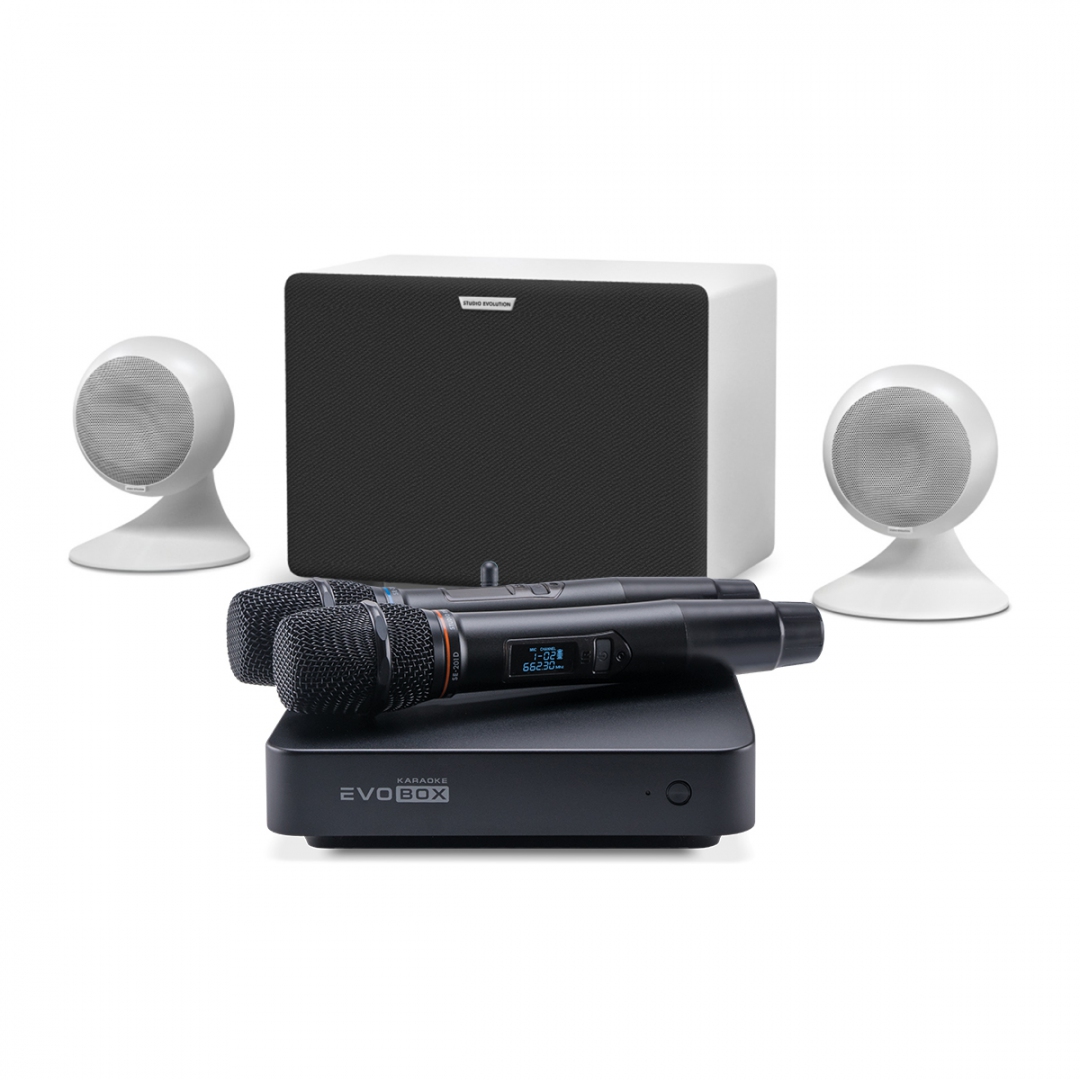 караоке-комплект EVOBOX Classic + EvoSound Sphere 2.1 в Печорах