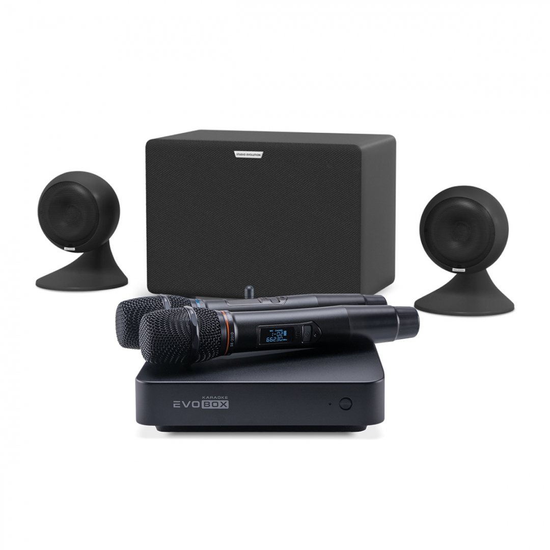 караоке-комплект EVOBOX Plus + EvoSound Sphere 2.1 в Печорах