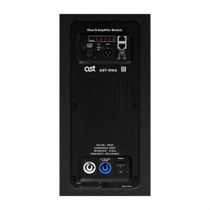 Активная акустическая система AST-310A в Печорах
