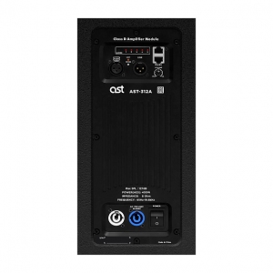Активная акустическая система AST-312A в Печорах