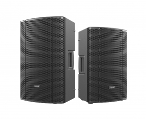 Audiocenter MA12+ активная акустическая система в Печорах