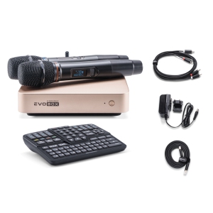 EVOBOX Classic караоке-система для дома в Печорах