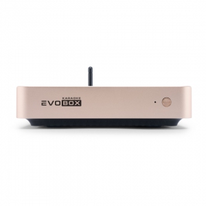EVOBOX Plus караоке-система для дома в Печорах