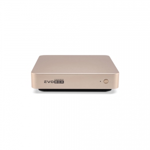 EVOBOX с микрофонами в Печорах