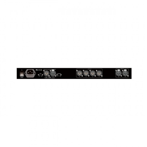 RFIntell DP-24II спикер-процессор в Печорах