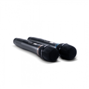 SE-200D цифровые микрофоны в Печорах